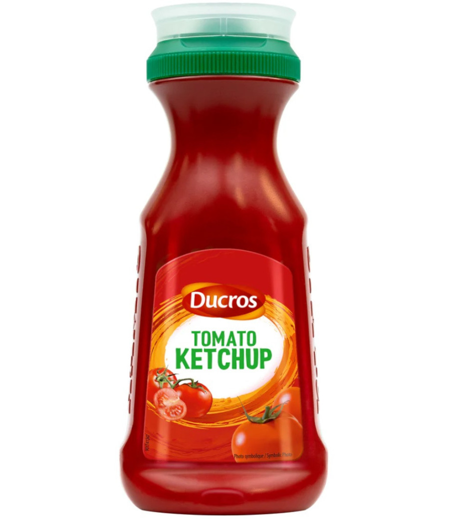 TOMATO KETCHUP DUCROS 350G