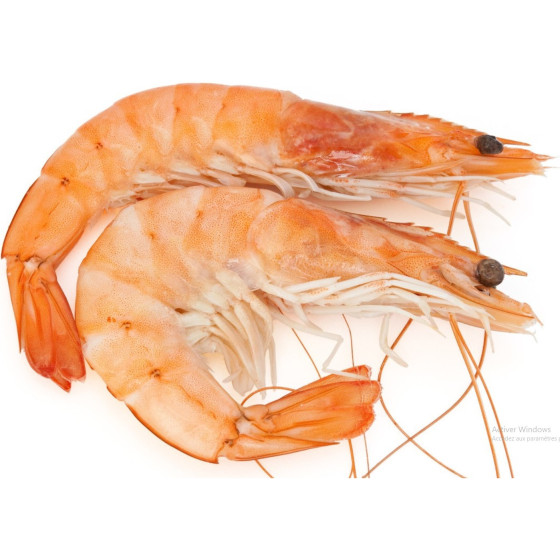 CREVETTE CUITE LABEL ROUGE CALIBRE 10/20 SOUS ATMOSPHERE ELEVAGE MADAGASCAR
