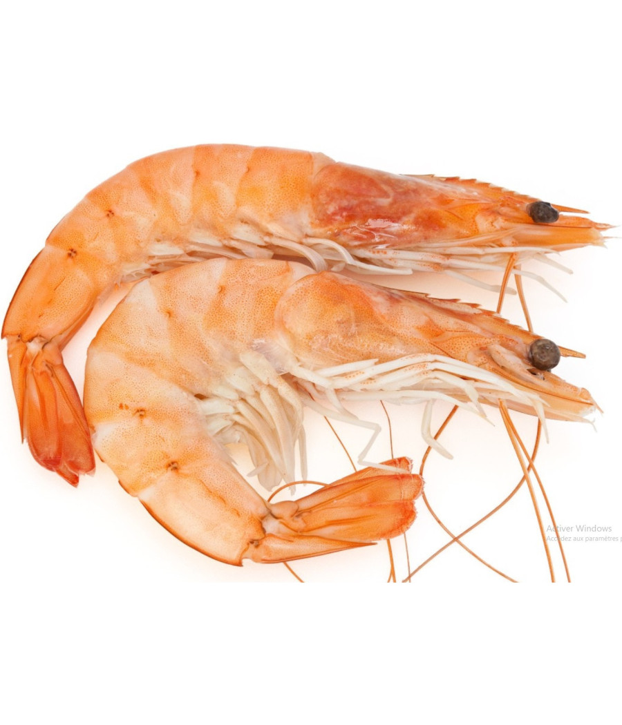 CREVETTE CUITE LABEL ROUGE CALIBRE 20/30 SOUS ATMOSPHERE ELEVAGE MADAGASCAR