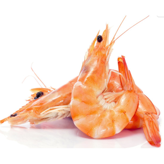 CREVETTE CUITE PREMIUM CALIBRE 20/30 ELEVAGE MALAISIE