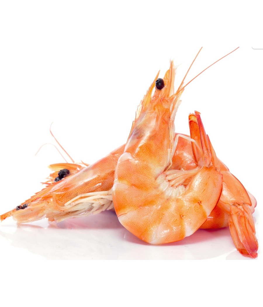 CREVETTE CUITE PREMIUM CALIBRE 20/30 ELEVAGE MALAISIE