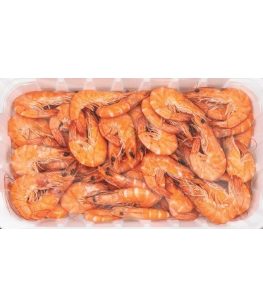 CREVETTE CUITE SOUS ATMOSPHERE CALIBRE 30/50 ELEVAGE EQUATEUR