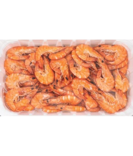 CREVETTE CUITE SOUS ATMOSPHERE CALIBRE 30/50 ELEVAGE EQUATEUR