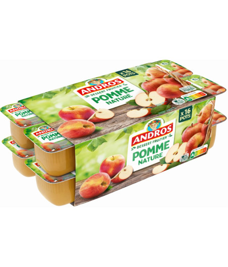 DESSERT FRUITIER POMME NATURE ANDROS X16