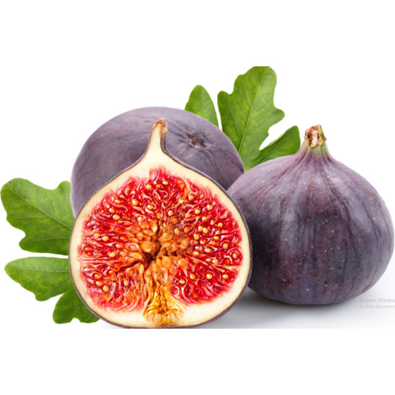 FIGUE FRAICHE 1 KG BRESIL