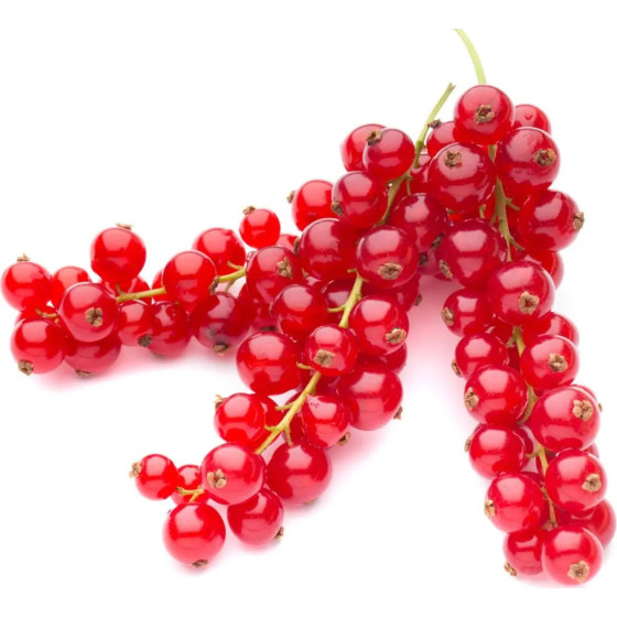 GROSEILLE ROUGE BARQUETTE 125 G CATEGORIE 1 CHILI