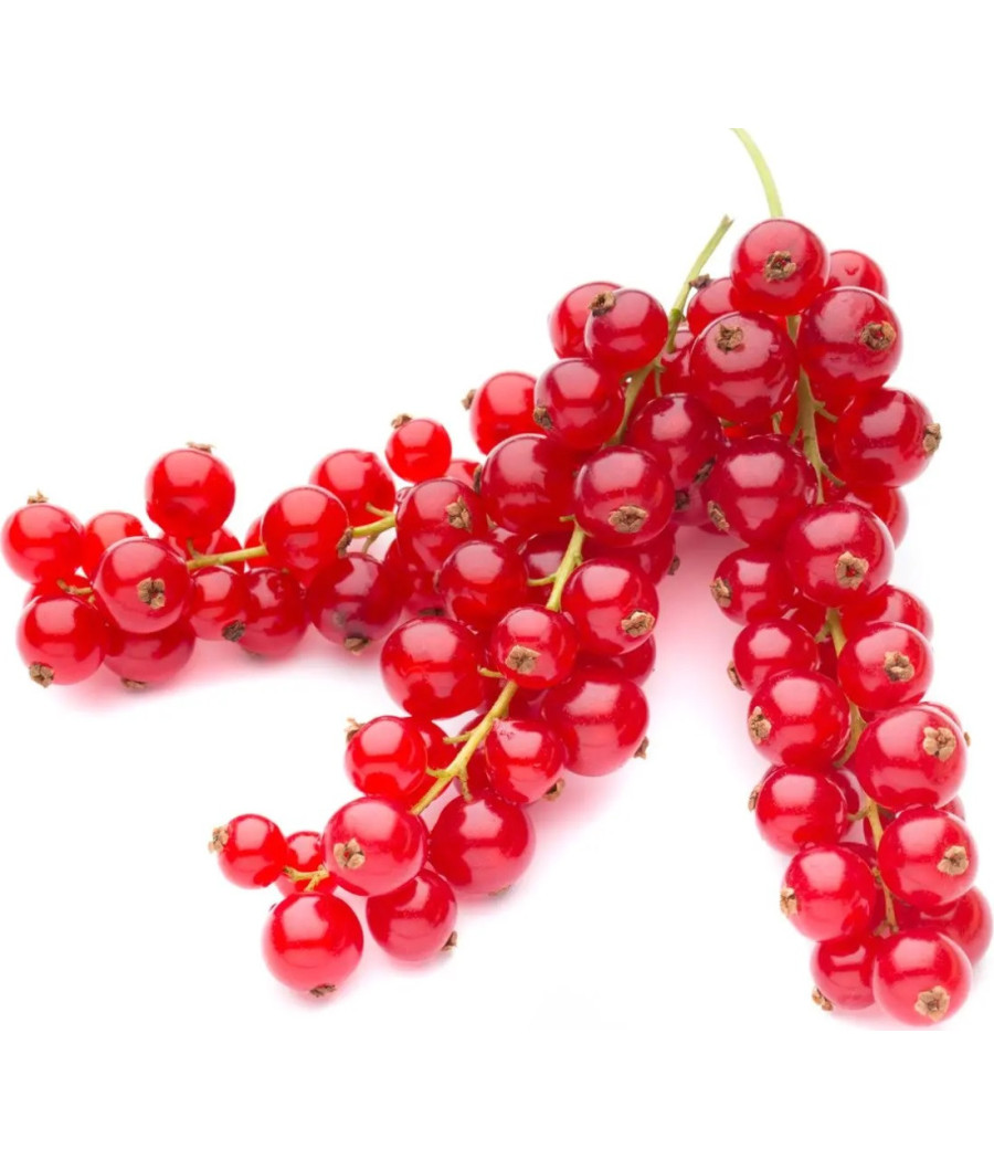 GROSEILLE ROUGE BARQUETTE 125 G CATEGORIE 1 CHILI