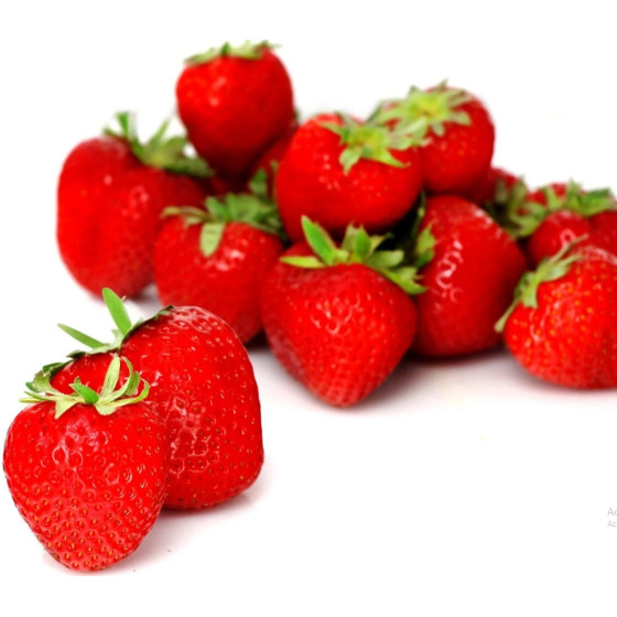 FRAISE BARQUETTE 500G CATEGORIE 1 UE
