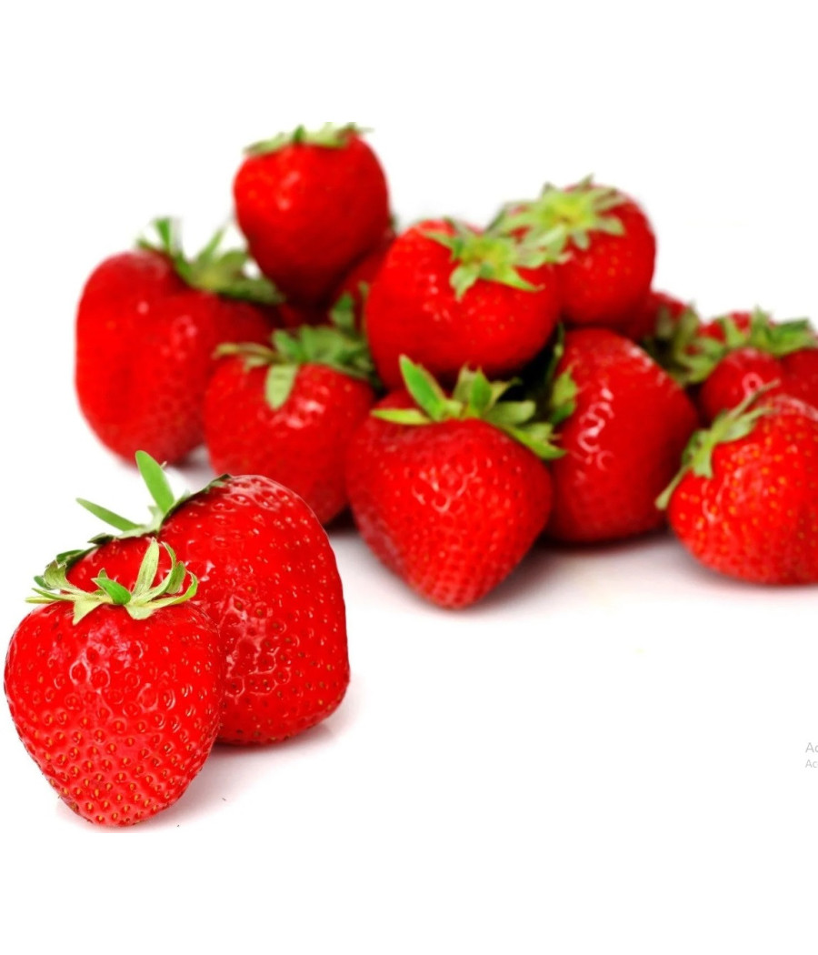 FRAISE BARQUETTE 500G CATEGORIE 1 UE
