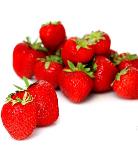 FRAISE BARQUETTE 500G CATEGORIE 1 UE