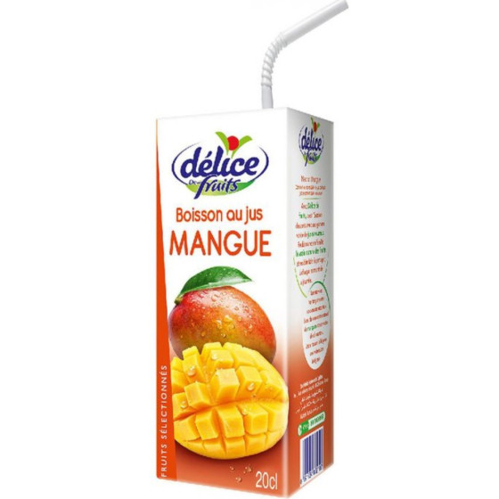 JUS DE MANGUE DELICE DE FRUITS 20CL