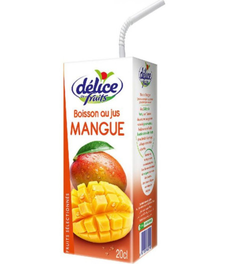 JUS DE MANGUE DELICE DE FRUITS 20CL