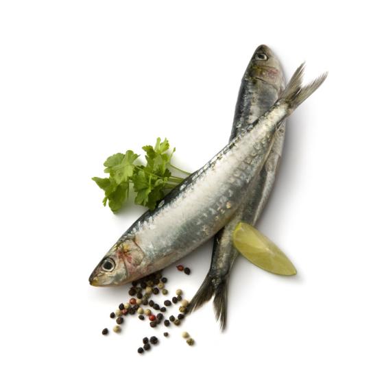 SARDINE LAMPARO PECHE EN MER MER NOIRE ET MEDITERRANNEE COLIS DE 6KG PACK DE 6