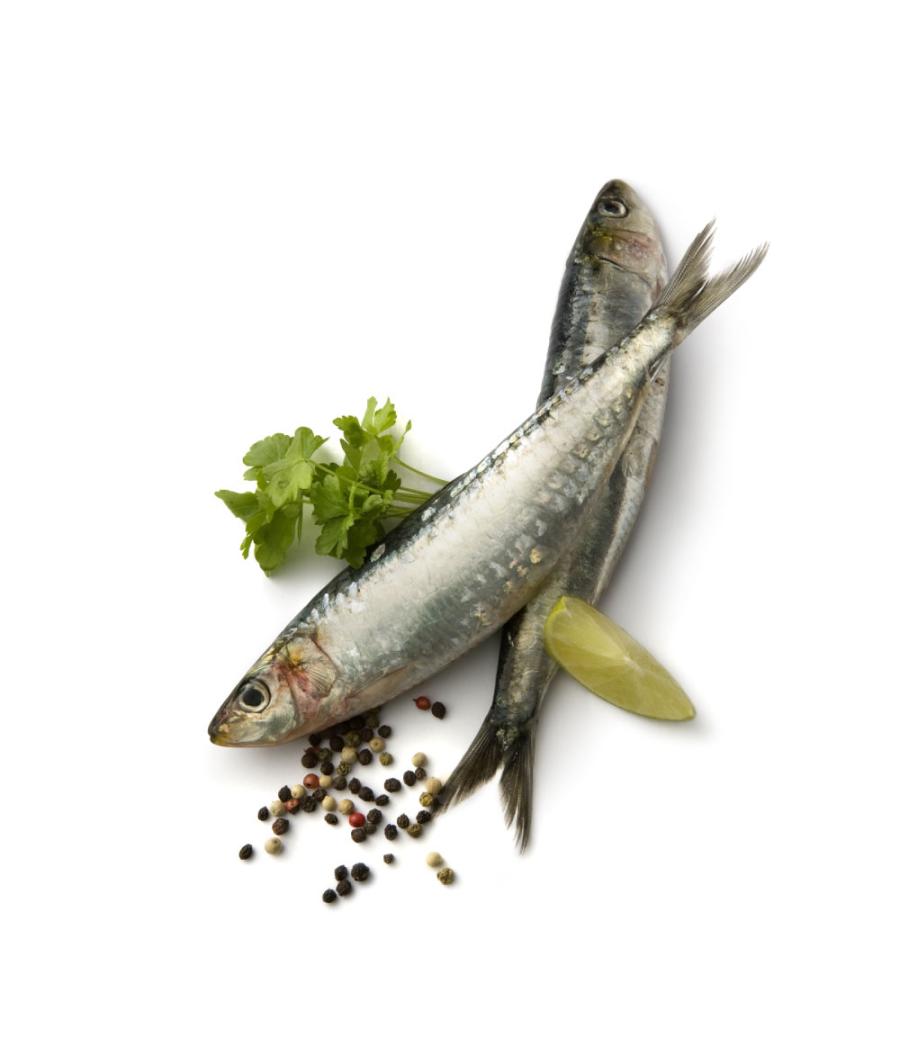 SARDINE LAMPARO PECHE EN MER MER NOIRE ET MEDITERRANNEE COLIS DE 6KG PACK DE 6