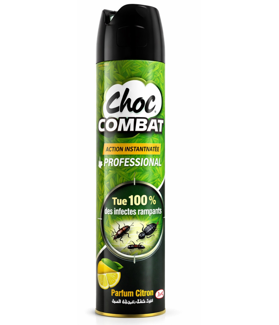 INSECTICIDE VERT CHOC COMBAT 400ML