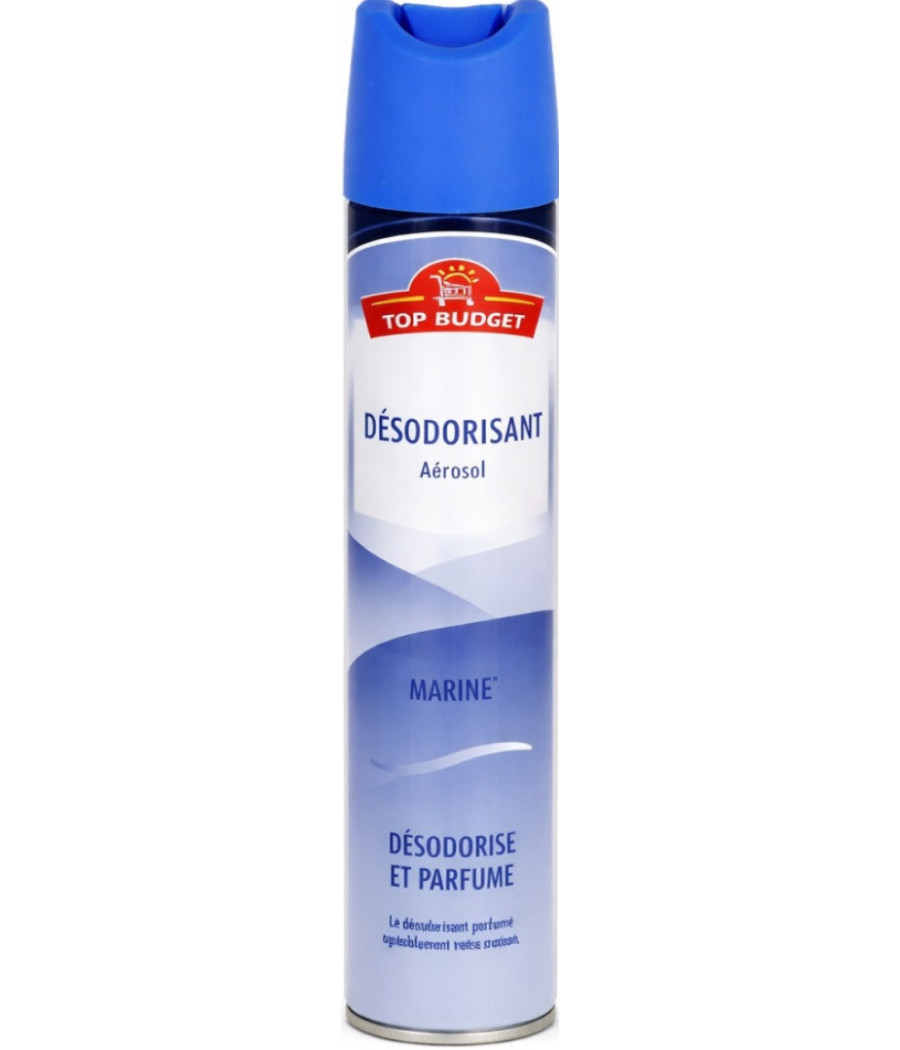 DESODORISANT AEROSOL MARINE TOP BUDGET 300ML