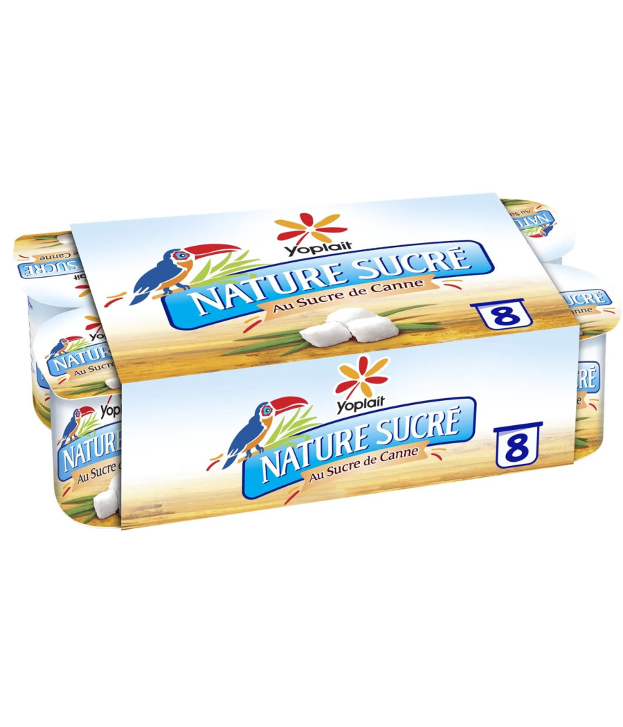 YAOURTS NATURE AU SUCRE DE CANNE YOPLAIT 8X125G