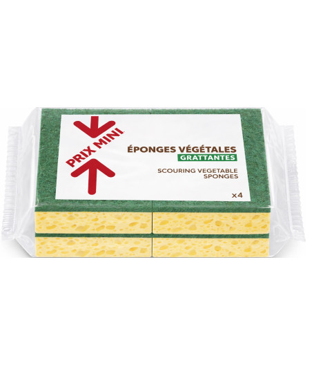 SU EPONGES VEGETALES GRATTANTES VERTE X4