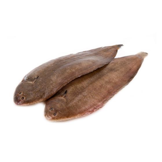 SOLE CALIBRE 300/400 PECHE EN MER OCEAN ATLANTIQUE NORD-EST COLIS DE 0,35KG