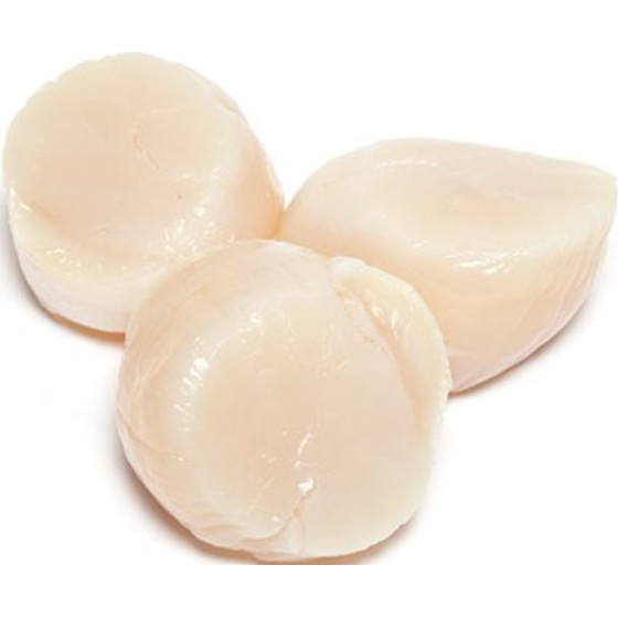 NOIX DE ST JACQUES FRANCAISE BLANCHE SOUS ATMOSPHERE PECHEE EN ATLANTIQUE NORD-EST