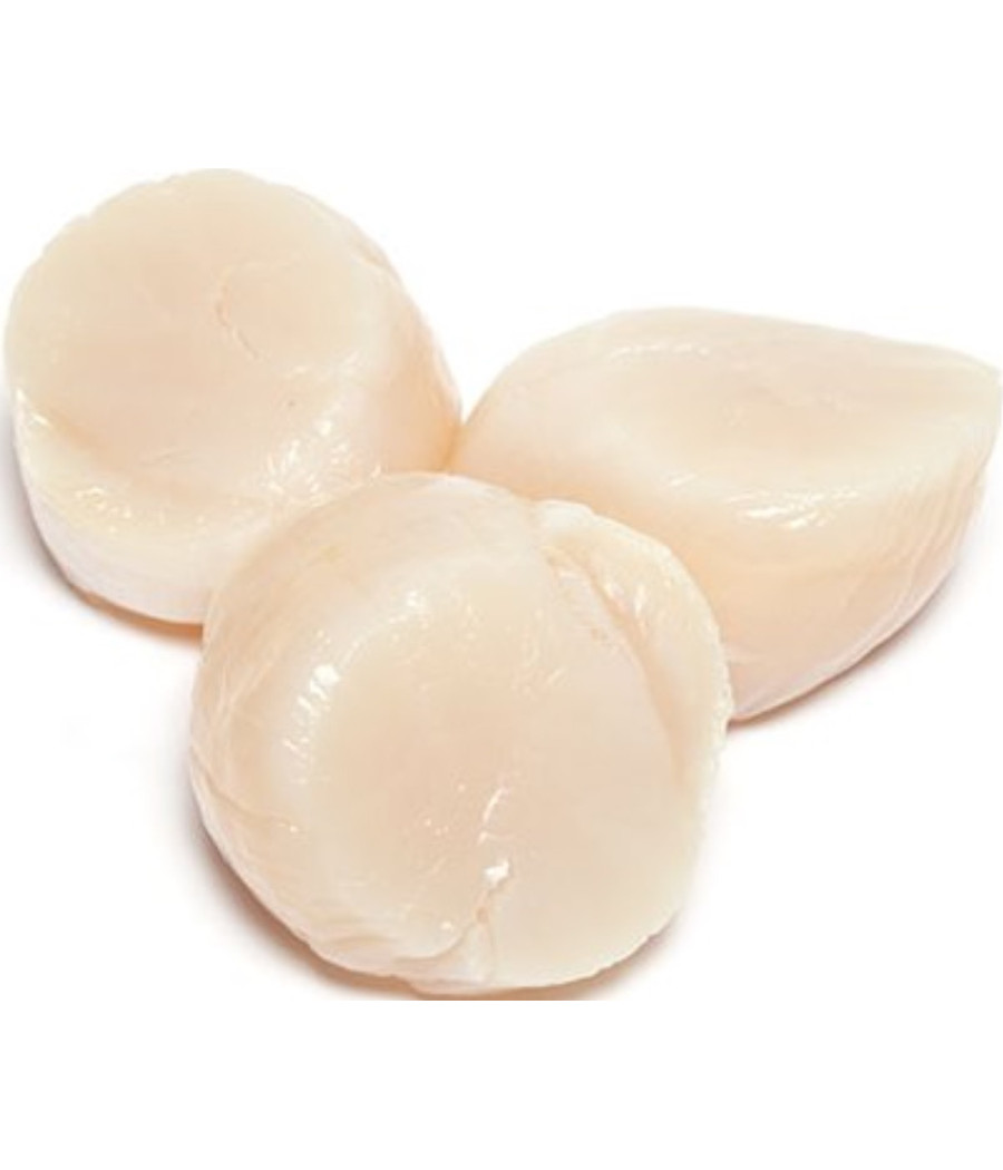 NOIX DE ST JACQUES FRANCAISE BLANCHE SOUS ATMOSPHERE PECHEE EN ATLANTIQUE NORD-EST