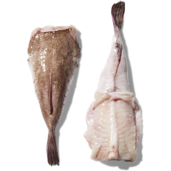 QUEUE DE LOTTE CALIBRE 2/4 PECHE EN MER OCEAN ATLANTIQUE NORD-EST COLIS DE 3KG PACK DE 3