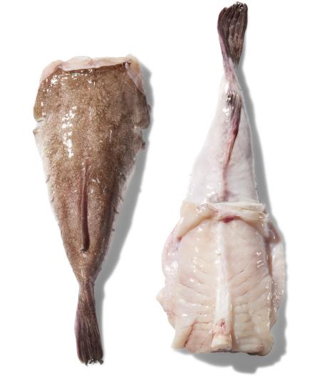 QUEUE DE LOTTE CALIBRE 2/4 PECHE EN MER OCEAN ATLANTIQUE NORD-EST COLIS DE 3KG PACK DE 3