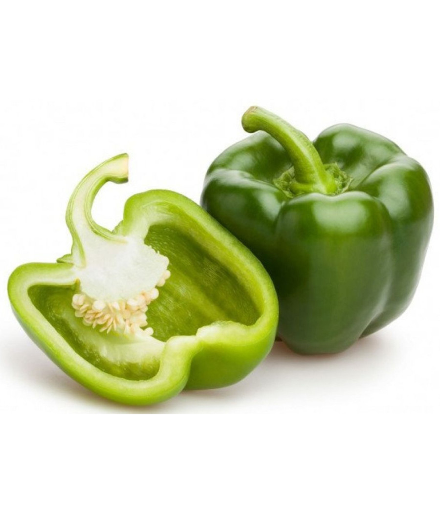 POIVRON VERT  CATEGORIE II ORIGINE UE