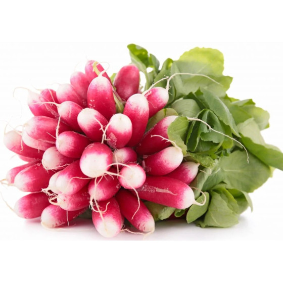 RADIS ROSE CALIBRE 300 CATEGORIE II ORIGINE UE