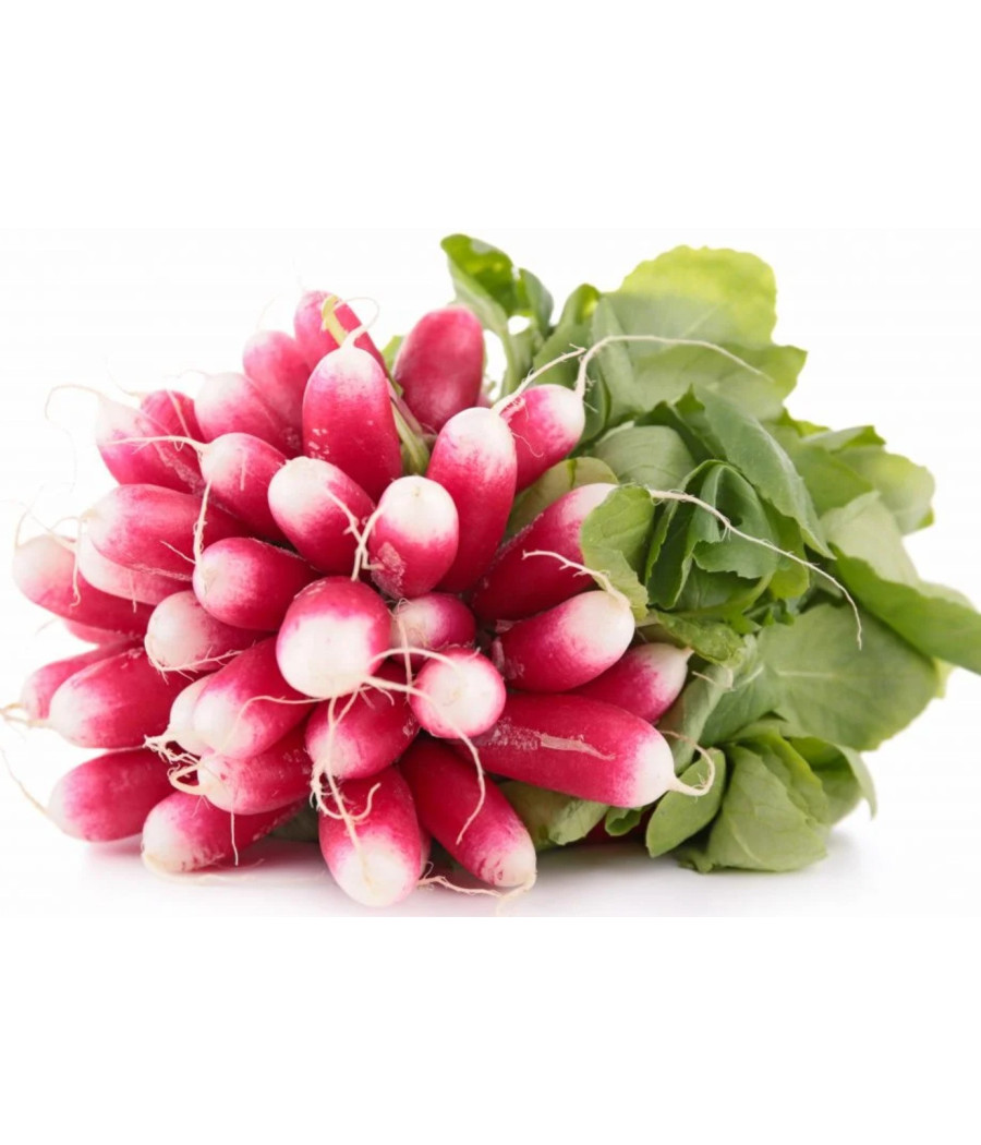 RADIS ROSE CALIBRE 300 CATEGORIE II ORIGINE UE