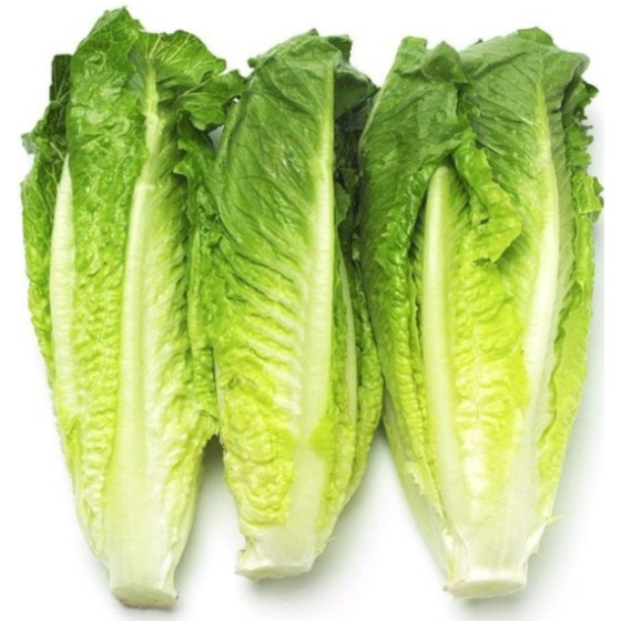 SALADE COEUR DE ROMAINE CATEGORIE II ORIGINE UE