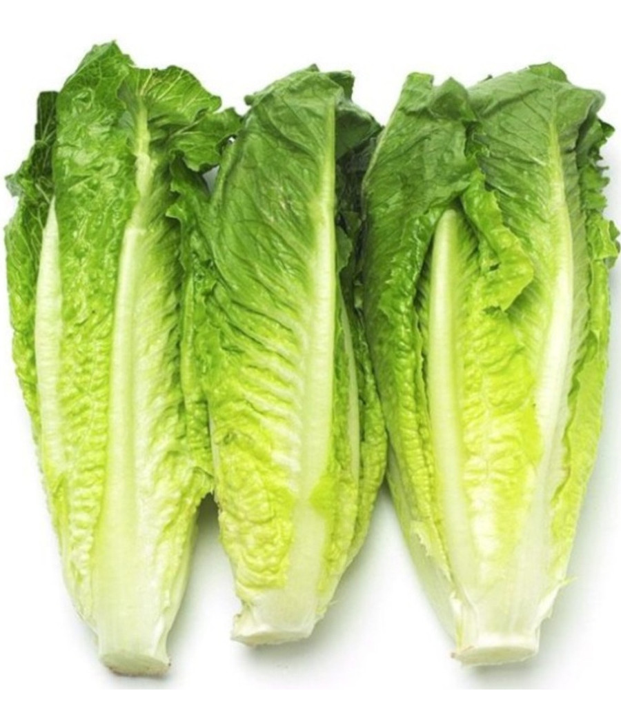 SALADE COEUR DE ROMAINE CATEGORIE II ORIGINE UE