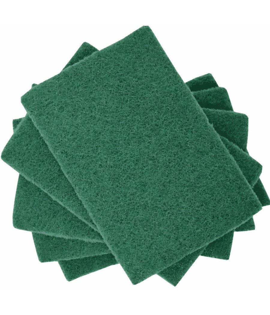 TAMPONS A RÉCURER POL HOP X5