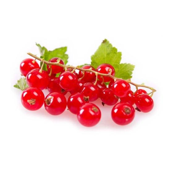 GROSEILLE CATEGORIE 1. ORIGINE : UE BARQUETTE DE 0,125 KG VENDU PAR PACK DE 10 PIECES PACK DE 10