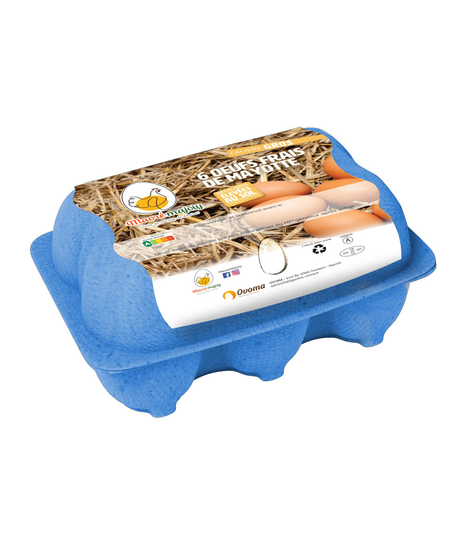 OEUFS FRAIS GROS MAORE MAJOIY X6