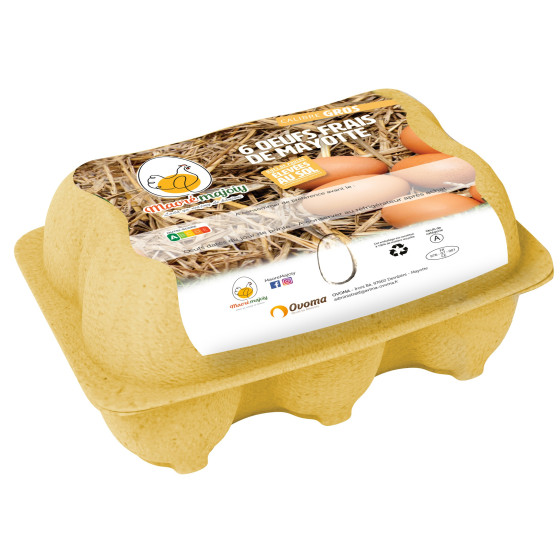 OEUFS FRAIS MAORE MAJOIY X6