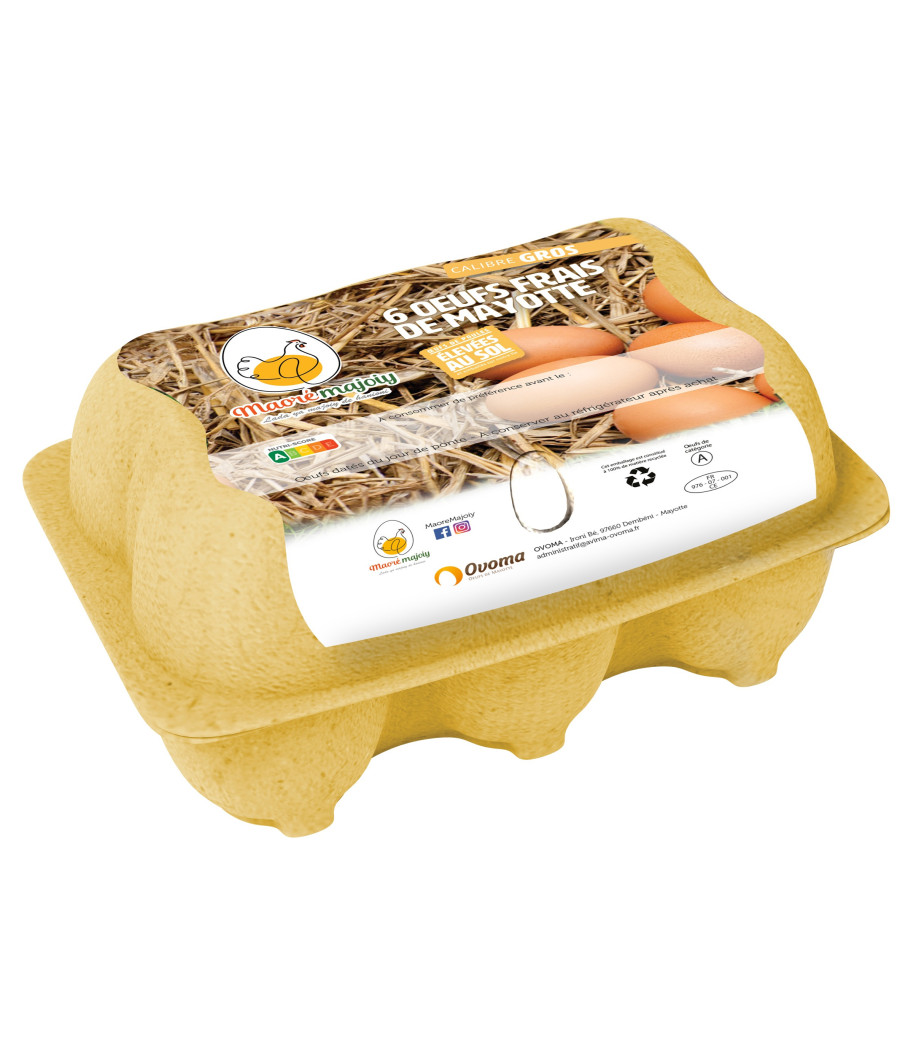 OEUFS FRAIS MAORE MAJOIY X6