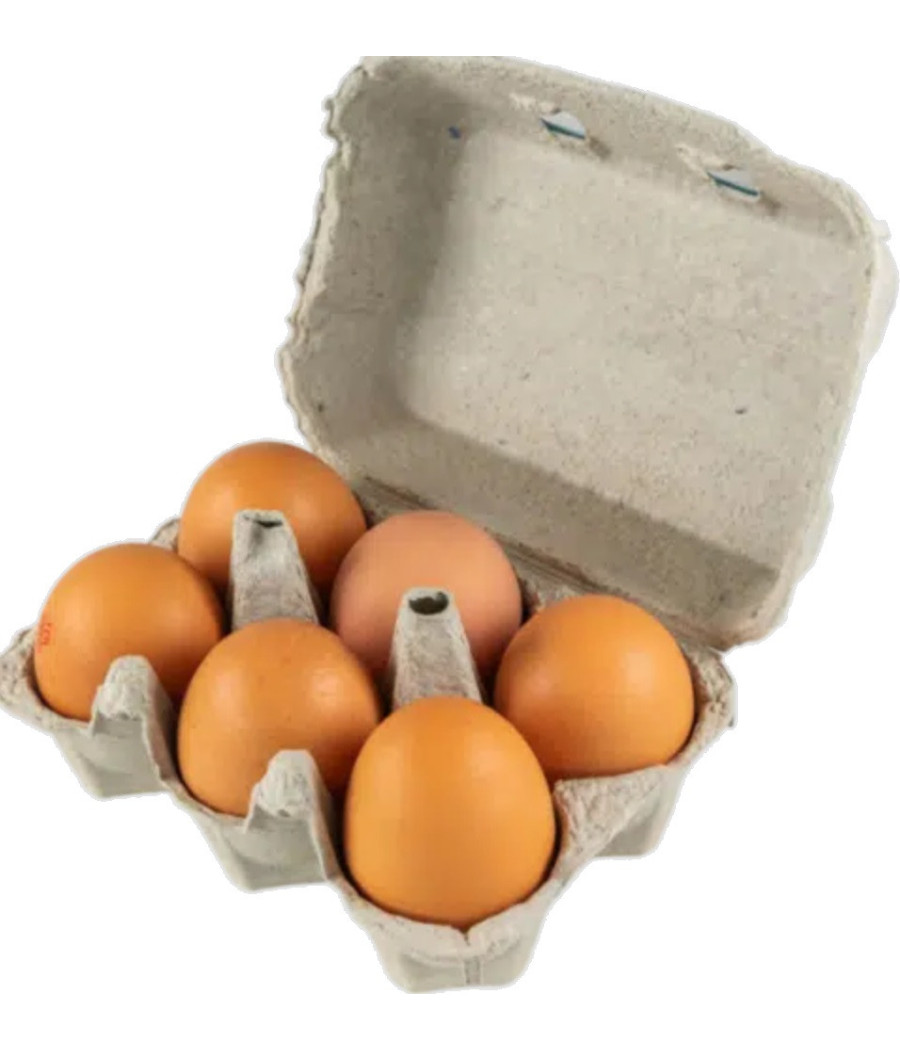 OEUFS FRAIS AU SOL MAORE MAJOIY X6