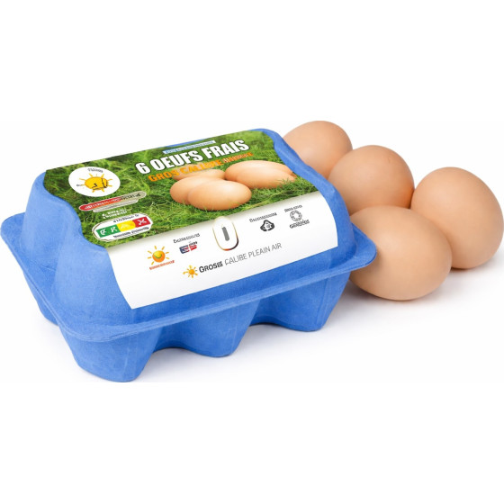 OEUFS SOL GROS MAORE MAJOIY X6