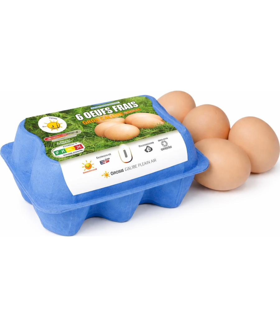OEUFS SOL GROS MAORE MAJOIY X6