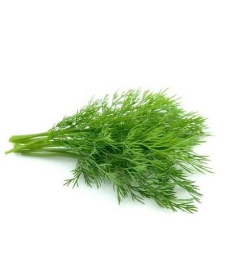 ANETH BARQUETTE DE 0,03 KG VENDU PAR PACK DE 30 PIECES PACK DE 30