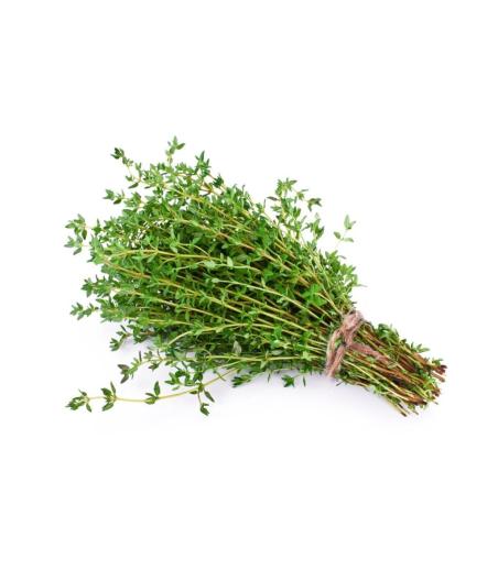 THYM FRAIS ORIGINE : UE BARQUETTE DE 0,03 KG VENDU PAR PACK DE 30 PIECES PACK DE 30