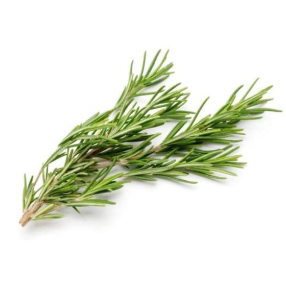 ROMARIN FRAIS ORIGINE : UE BARQUETTE DE 0,03 KG VENDU PAR PACK DE 30 PIECES PACK DE 30