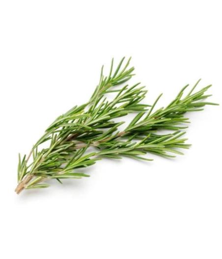 ROMARIN FRAIS ORIGINE : UE BARQUETTE DE 0,03 KG VENDU PAR PACK DE 30 PIECES PACK DE 30