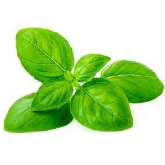 BASILIC FRAIS ORIGINE : UE BARQUETTE DE 0,03 KG VENDU PAR PACK DE 30 PIECES PACK DE 30