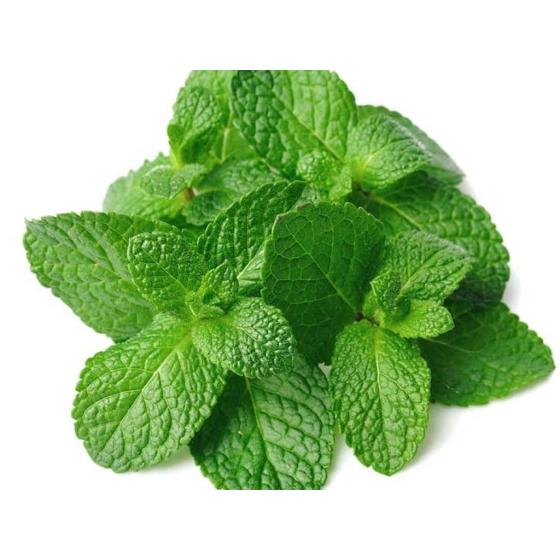 MENTHE FRAICHE ORIGINE : UE BARQUETTE DE 0,03 KG VENDU PAR PACK DE 30 PIECES PACK DE 30