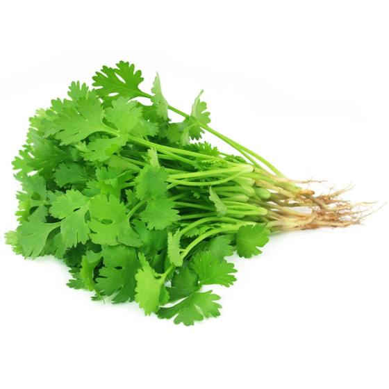 CORIANDRE BARQUETTE DE 0,03 KG VENDU PAR PACK DE 30 PIECES PACK DE 30