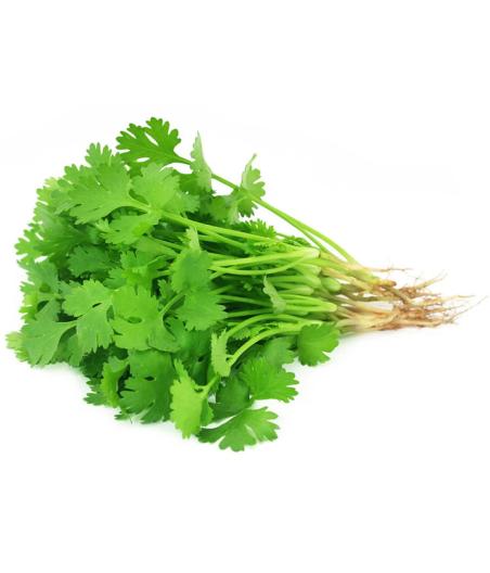 CORIANDRE BARQUETTE DE 0,03 KG VENDU PAR PACK DE 30 PIECES PACK DE 30