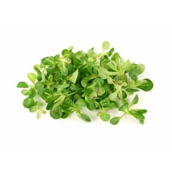 MACHE BOIS ORIGINE FRANCE BARQUETTE DE 0,15 KG VENDU PAR PACK DE 8 PIECES PACK DE 8