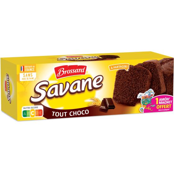 GATEAU MARBRE TOUT CHOCO SAVANE BROSSARD 310G